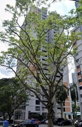 Blk 5 Delta Avenue (Bukit Merah), HDB 4 Rooms #630224181